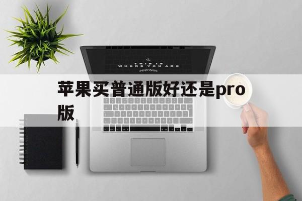 苹果买普通版好还是pro版(iphone pro跟普通款的区别)-第6张图片-有道翻译官网 苹果买普通版好还是pro版(iphone pro跟普通款的区别)-第6张图片-有道翻译官网