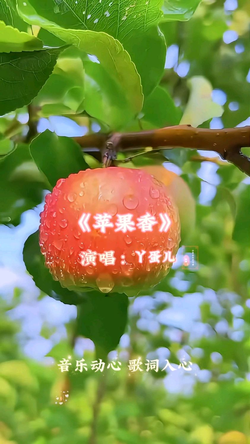 低配版苹果香(iphone低配版叫啥)-第6张图片-有道翻译官网 低配版苹果香(iphone低配版叫啥)-第6张图片-有道翻译官网