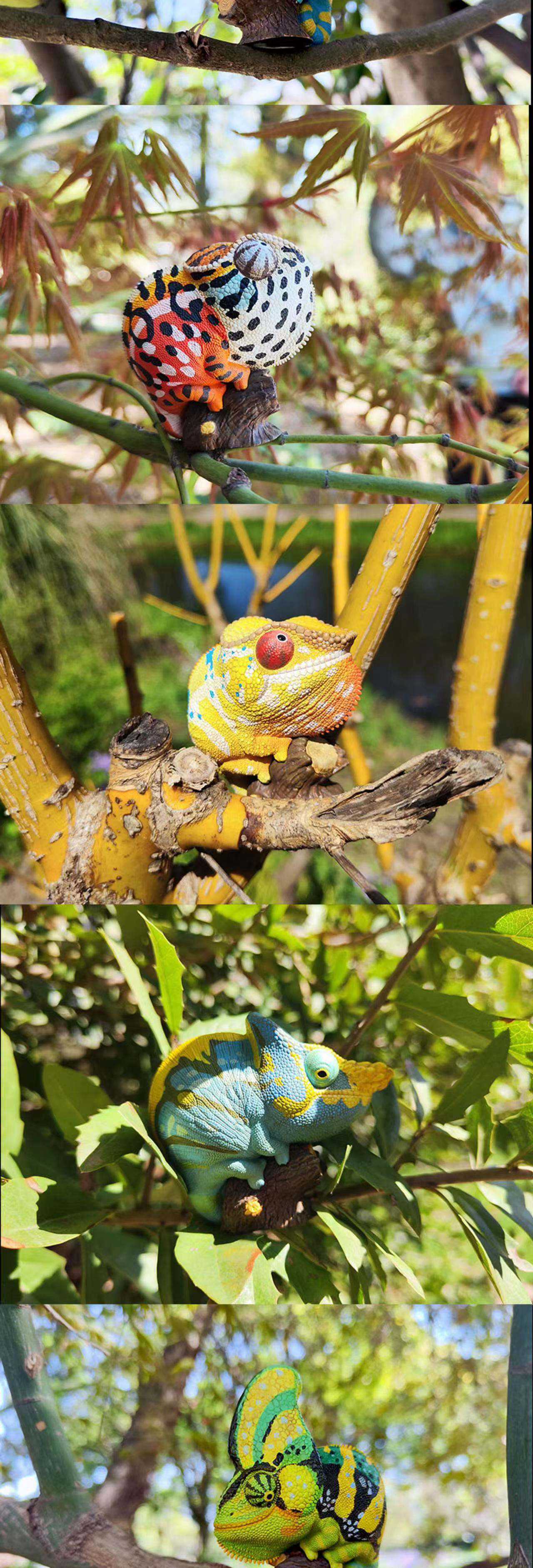 变色龙苹果版(下载变色龙最新版)-第37张图片-有道翻译官网