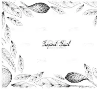 芒果监利开机苹果版(芒果监利开机手机版)-第9张图片-有道翻译官网